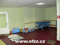 2011 - Realizace nástěnných maleb v Nemocnici Krnov
