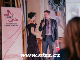 2018 - Benefiční koncert v Dobříši